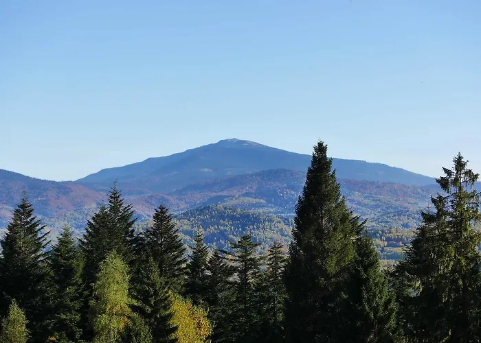 Przy Zywieckim Przylekow