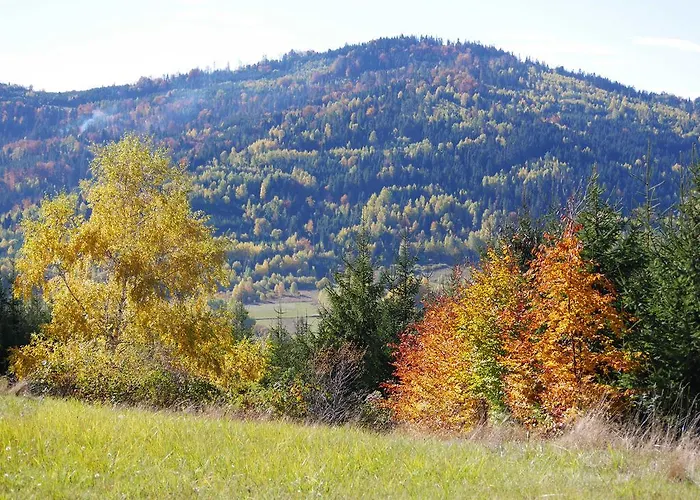 Aparthotel Przy Zywieckim 4*