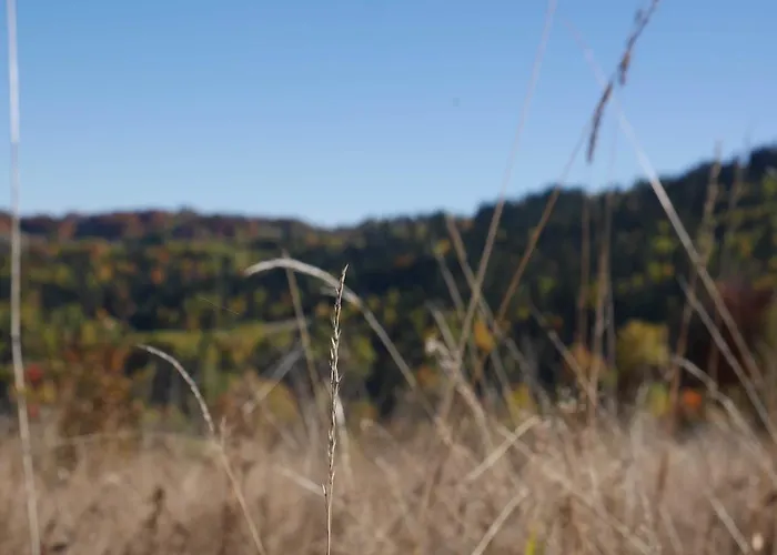 Aparthotel Przy Zywieckim Przylekow